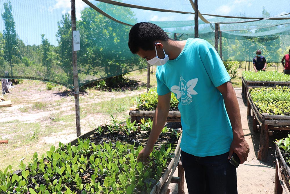 Photo 2 : Conservation de la biodiversité dans l'Aire protégée de Pointe à Larrée