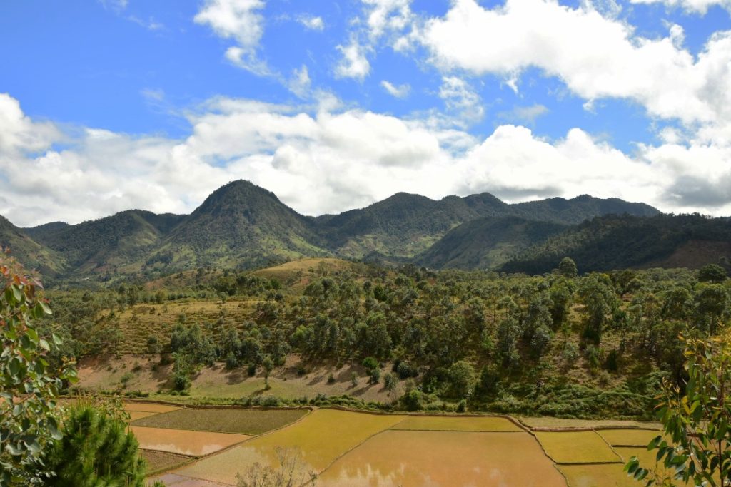 Les conditions de vie locales dépendent grandement de l'état de la forêt primaire dans les Aires Protégées.