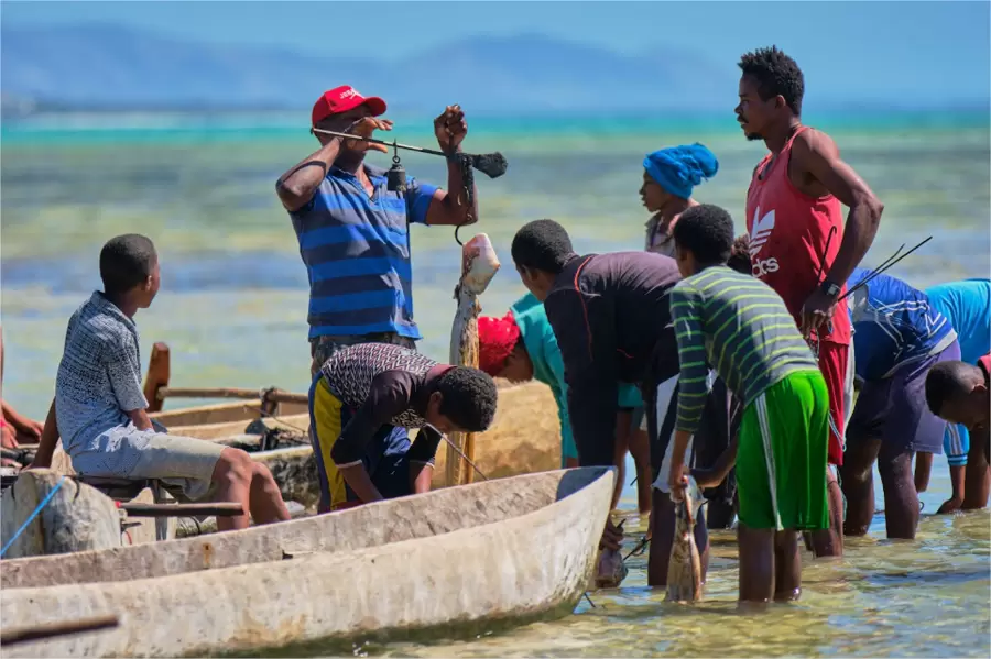 A Loky Manambato la pêche aux poulpes reprend 02