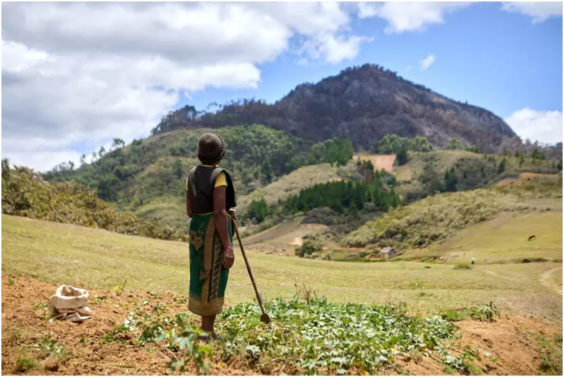 Fanamby mise sur les Aires Protégées 01