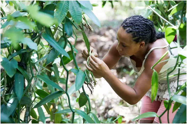 Fanamby mise sur les Aires Protégées 03