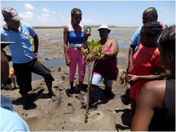 Fanamby mise sur les Aires Protégées 04