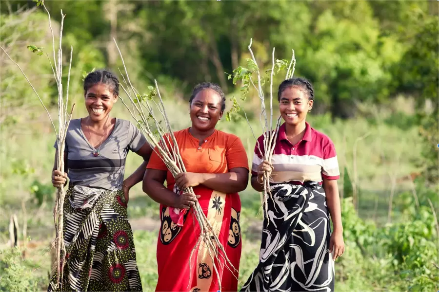 Rapport annuelle 2024 illustration