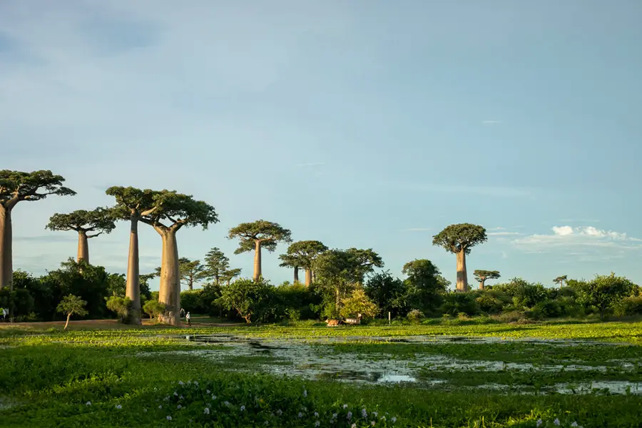 Les décisions qui protègent la nature se prennent ensemble 01